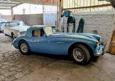 Austin-Healey 3000 mk1 bleue de profil